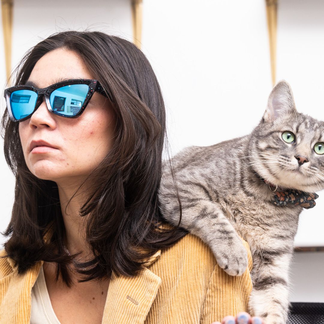 The Midnight Clawdia - Image 2