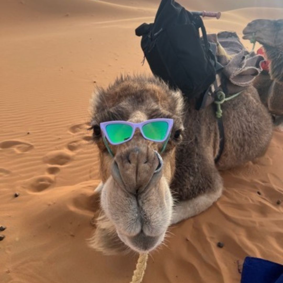 The Moontower Clawdia - Image 4