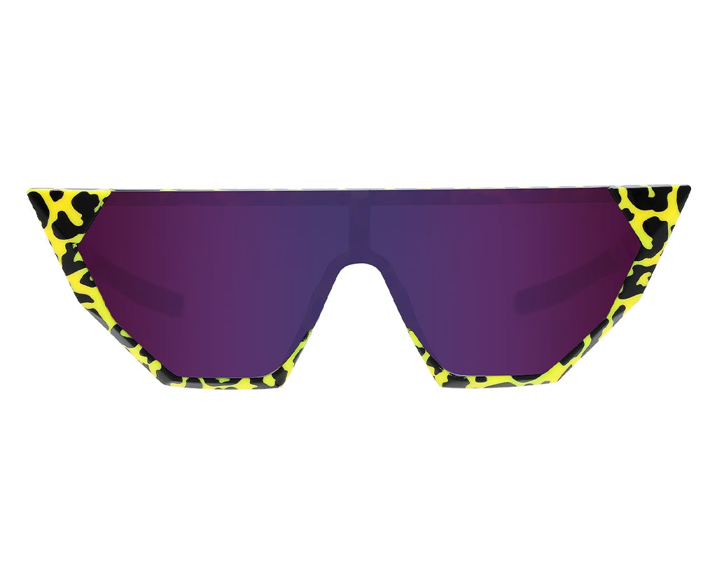 The Carnivore Showroom